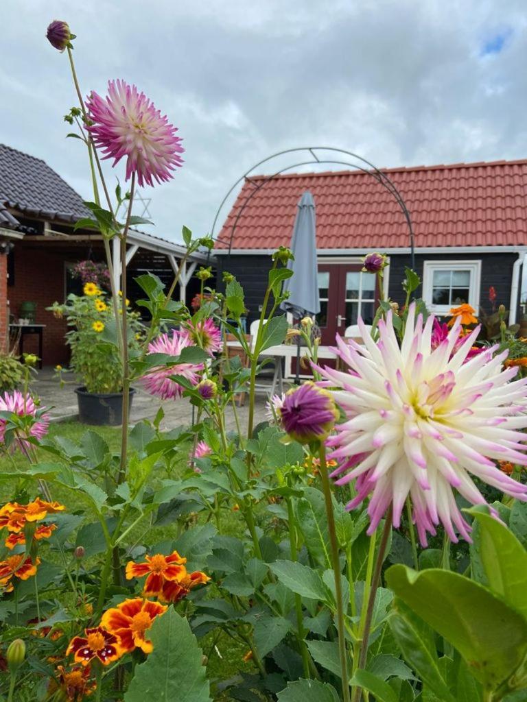 Bed and Breakfast Bed En Brochje De Oase Sweagerbosk Экстерьер фото