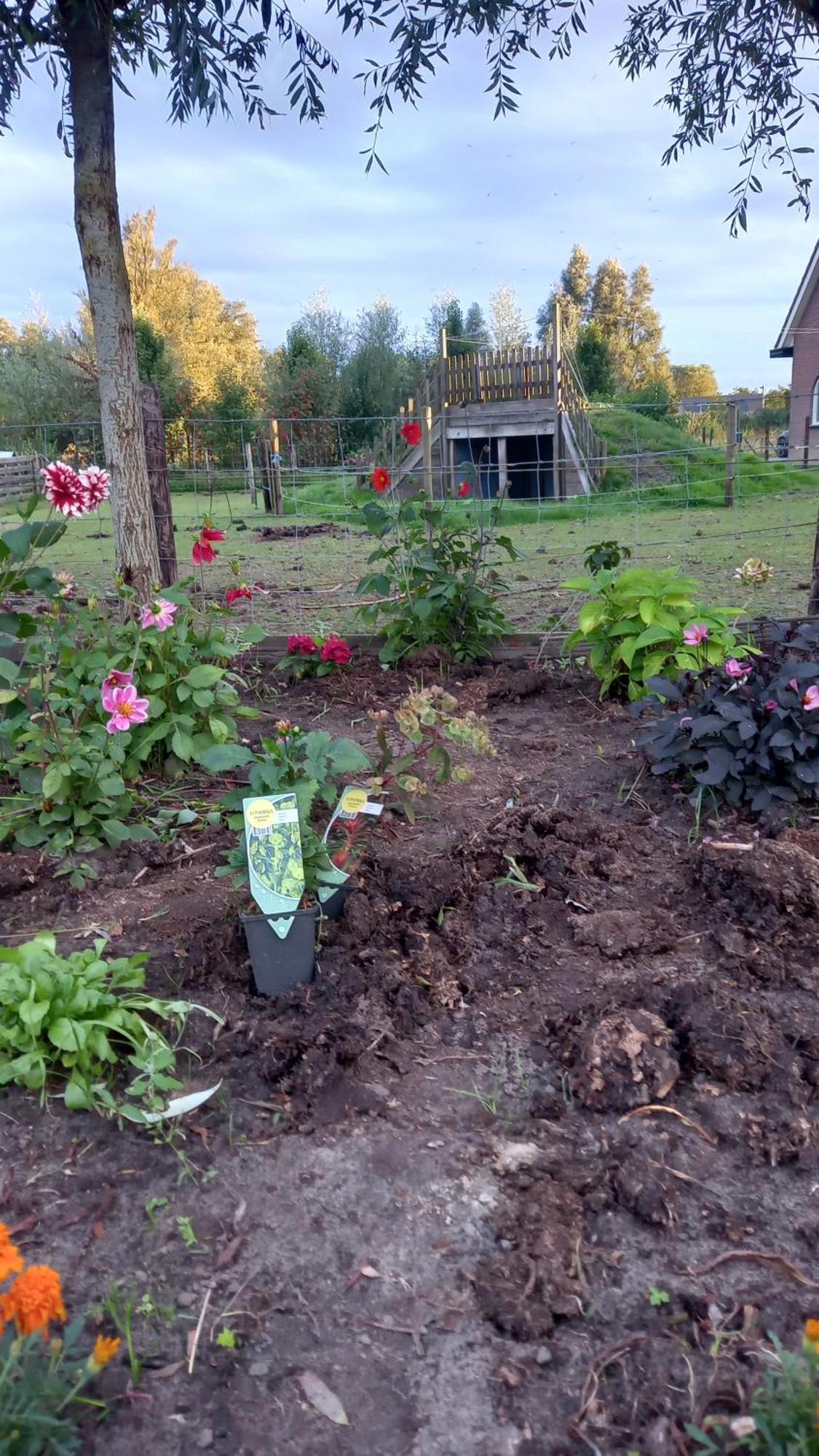 Bed and Breakfast Bed En Brochje De Oase Sweagerbosk Экстерьер фото